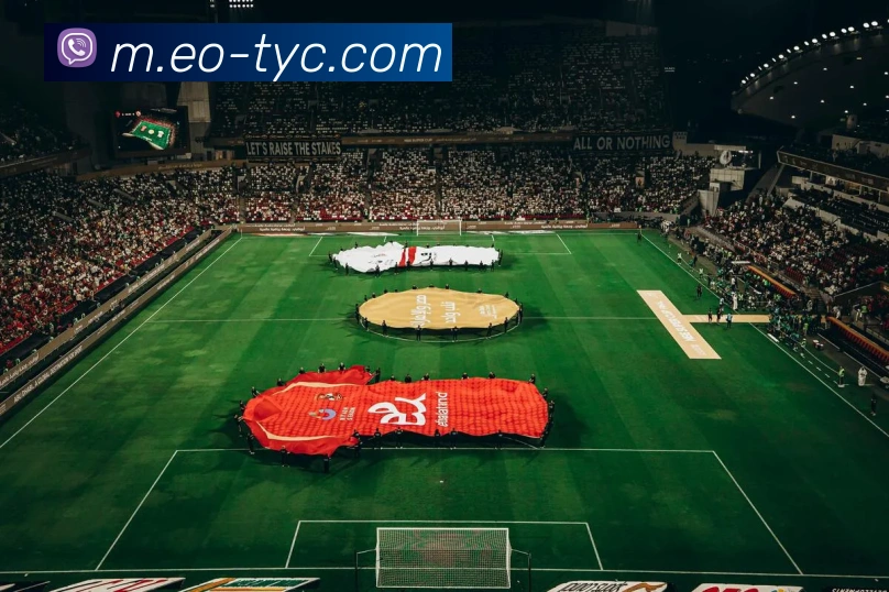 太阳城娱乐APP 封面图